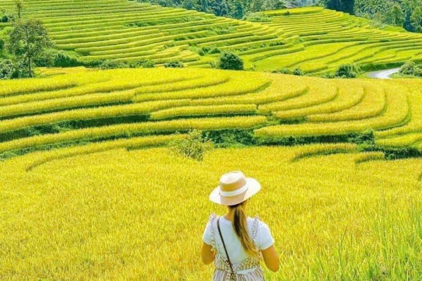 Image gallery